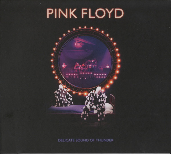 Pink Floyd - Delicate Sound Of Thunder cover reference
