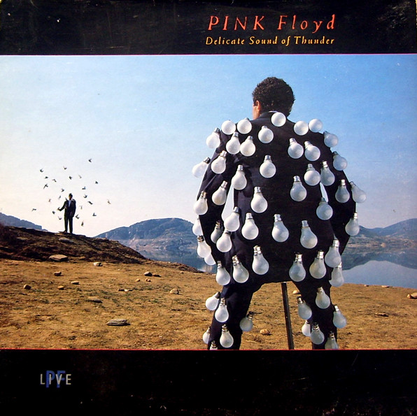 Pink Floyd - Delicate Sound Of Thunder cover reference