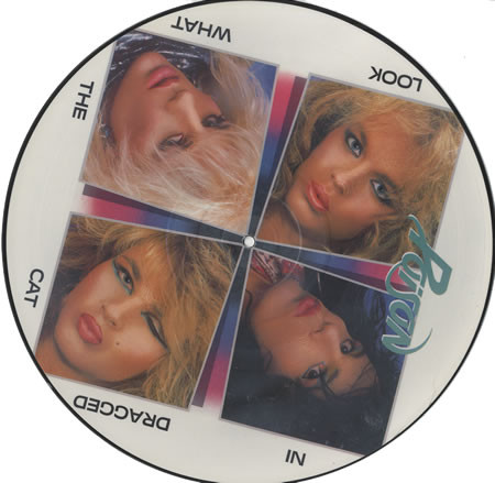 Poison - Look What The Cat Dragged In cover reference