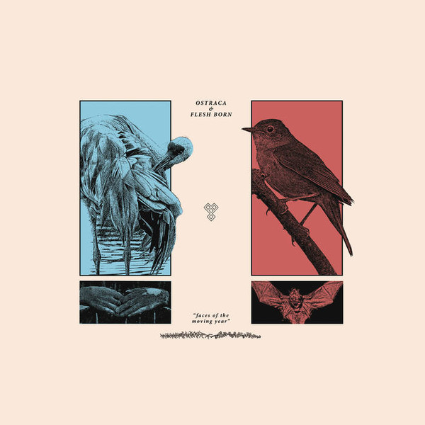 Ostraca, Flesh Born - Faces of the Moving Year cover reference