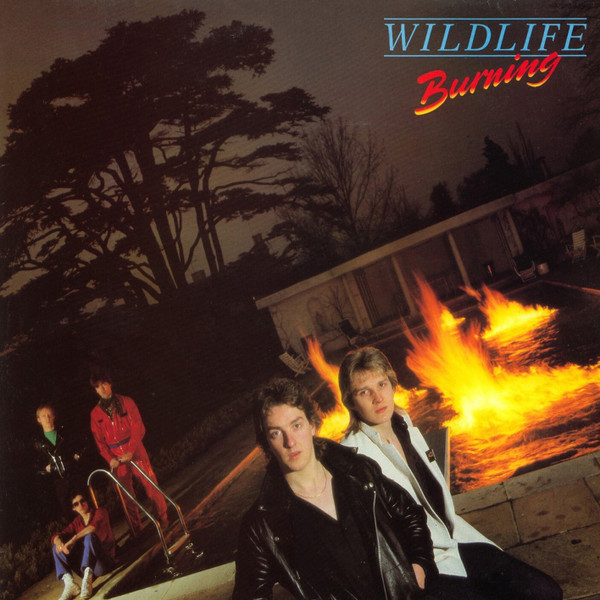 Wildlife - Burning cover reference