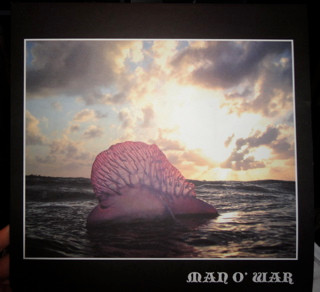Goldielocksnthethreebrares - Man O' War cover reference
