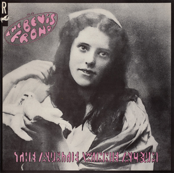 The Bevis Frond - The Auntie Winnie Album cover reference
